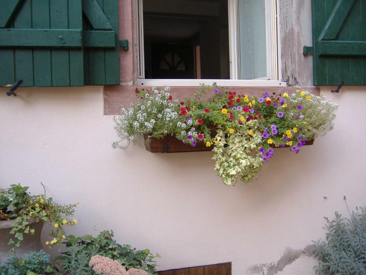 Bouxwiller  Charmant Petit Appartement En Alsace מראה חיצוני תמונה